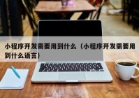 小程序开发需要用到什么（小程序开发需要用到什么语言）