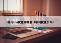 郴州seo优化哪里有（郴州优化公司）